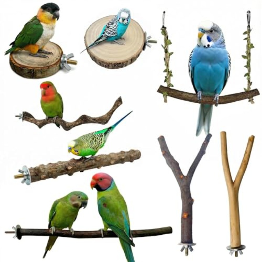 Health & Wellness Services At Western University London Reviews - 8PCS tempat bertengger burung dari kayu