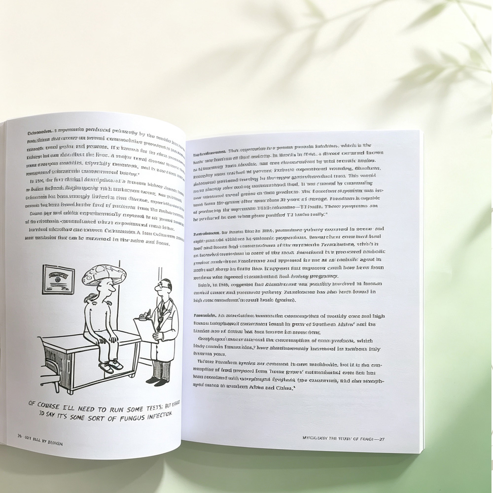 Penyembuhan Diri Secara Terenc - Health Wellness Guide ulasan dan harga
